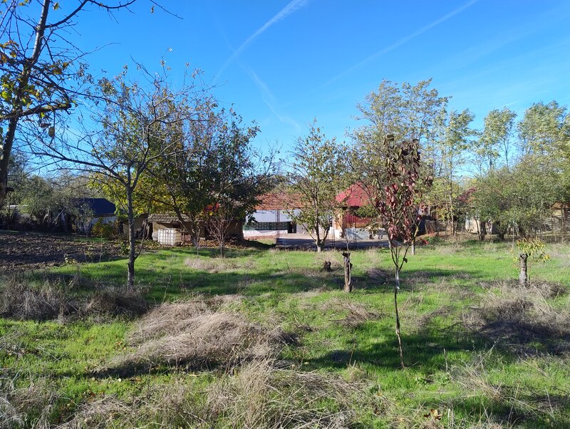 Sat Luptatori, comuna Frasinet, jud.Calarasi