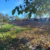 Sat Luptatori, comuna Frasinet, jud.Calarasi